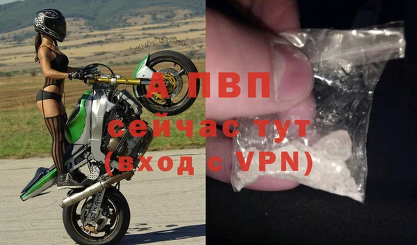 эйфоретик Алексин