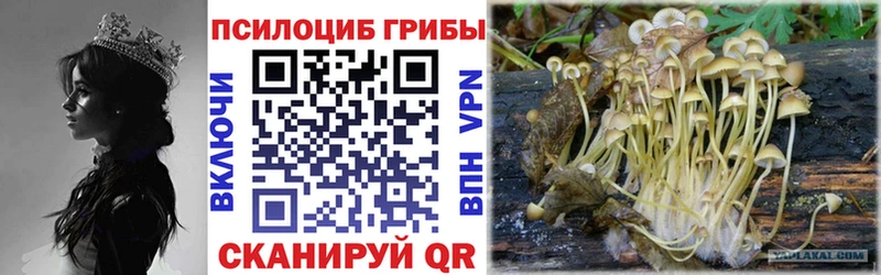 Псилоцибиновые грибы прущие грибы  купить наркоту  Кыштым 