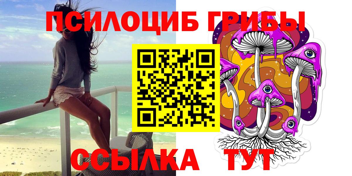 Псилоцибиновые грибы Psilocybe  сколько стоит  Кыштым  Вход с VPN 
