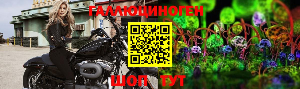 Псилоцибиновые грибы мухоморы Кыштым